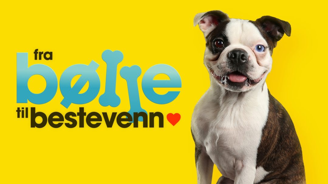 Fra Bølle Til Bestevenn [2023]