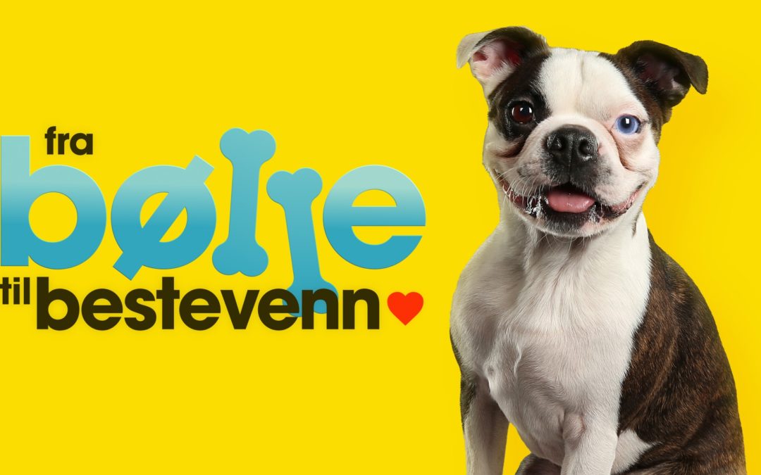 Fra Bølle Til Bestevenn [2023]